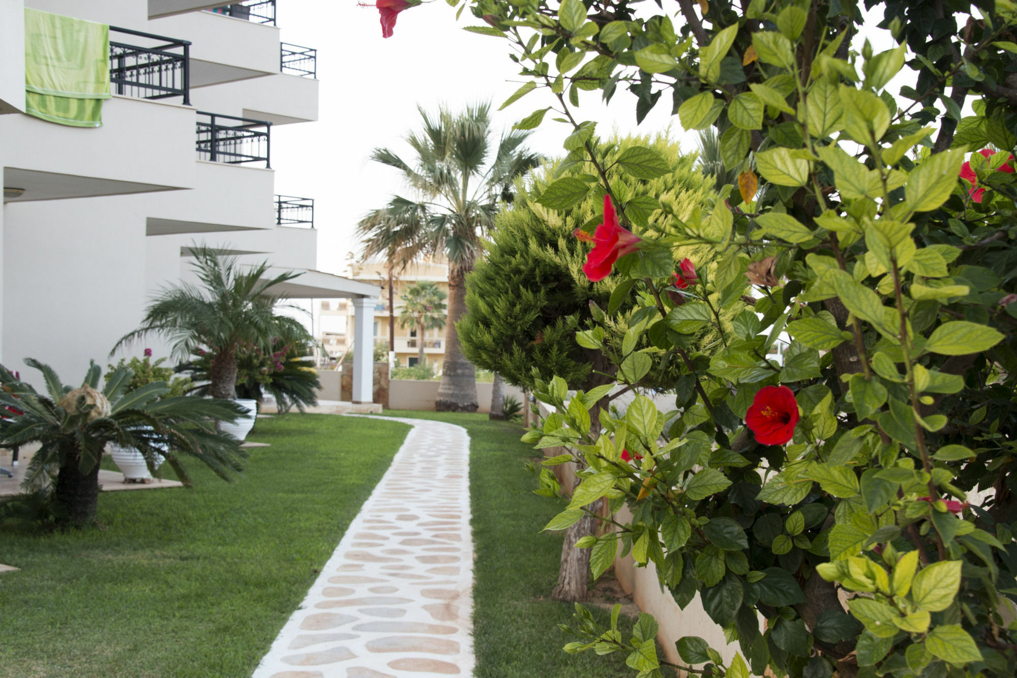 Ammos Boutique Apartments & Suites Malia Exterior foto